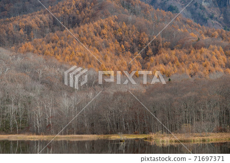 深秋的Togakure Kagamiike 深秋的Togakure Kagamiike 71697371