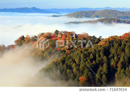 天空中的山城4653 天空中的山城4653 71697634