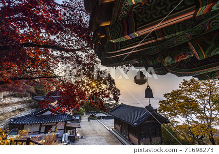 秋天的風景 71698273