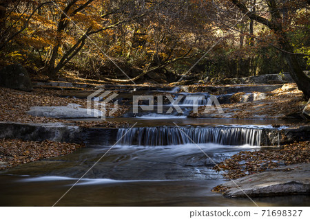 Korean autumn forest landscape Korean autumn forest landscape 71698327