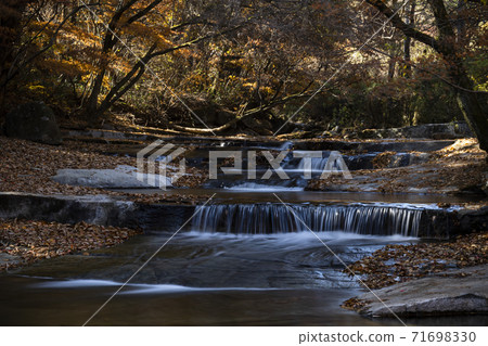 Korean autumn forest landscape 71698330