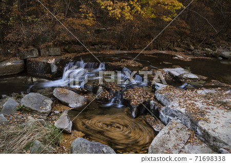 Korean autumn forest landscape Korean autumn forest landscape 71698338