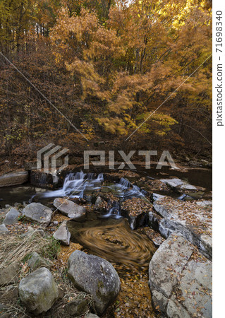 Korean autumn forest landscape Korean autumn forest landscape 71698340