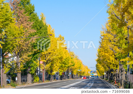 甲州公路沿線的東京八王子迴聲祭 71699086