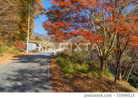 Autumn leaves near the trailhead at the Marukawa Pass branch (Mt. Daibosatsu) 71699515