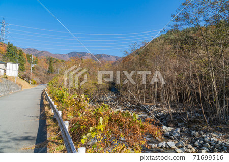 Autumn leaves near the trailhead at the Marukawa Pass branch (Mt. Daibosatsu) 71699516