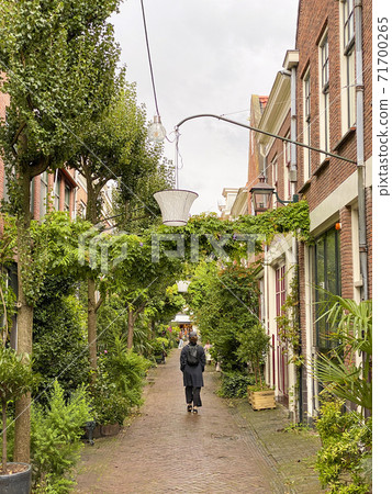 On the streets of Haarlem On the streets of Haarlem 71700265