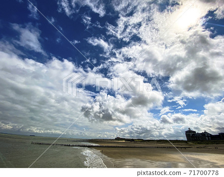 Wooden poles on the beach to break the waves at Cadzand, The Netherlands Wooden poles on the beach to break the waves at Cadzand, The Netherlands 71700778