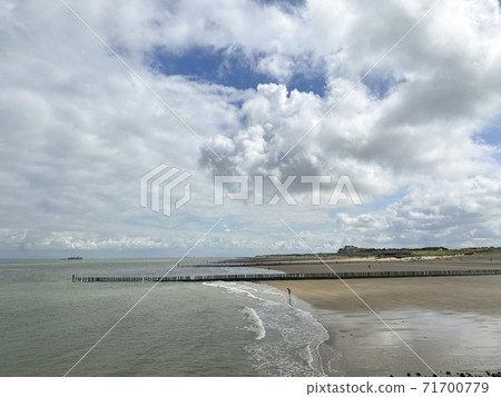 Wooden poles on the beach to break the waves at Cadzand, The Netherlands Wooden poles on the beach to break the waves at Cadzand, The Netherlands 71700779