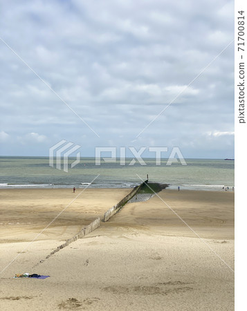 Wooden poles on the beach to break the waves at Cadzand, The Netherlands Wooden poles on the beach to break the waves at Cadzand, The Netherlands 71700814