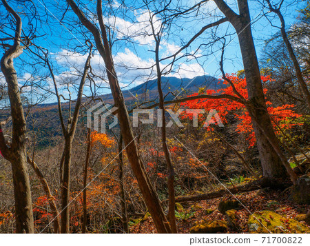 View from the mountain trail of Shinyu Fuji (Shinyu Fuji, Okushiobara, Tochigi Prefecture) 71700822