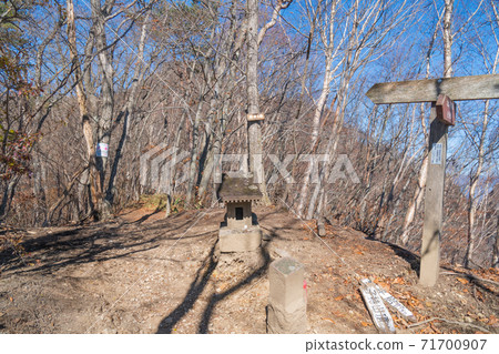 小池山的柳胺（群馬縣澀川市） 71700907