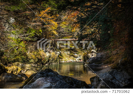 小田美山 小田美山 71701062