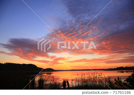 泉沼的早晨航班 71701186