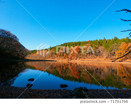 Onuma on a sunny day in late autumn and the autumn leaves reflected on the water surface (Onuma-Enchi, Okushiobara, Tochigi Prefecture) 71701798