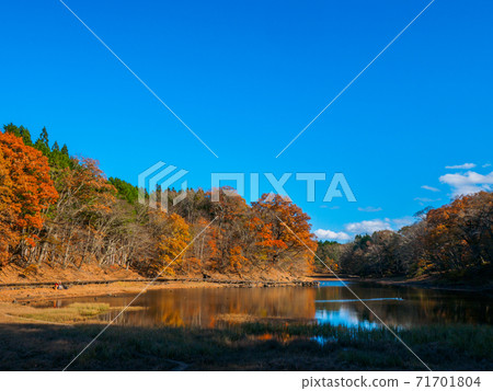 Onuma on a sunny day in late autumn (Onuma-Enchi, Okushiobara, Tochigi Prefecture) 71701804