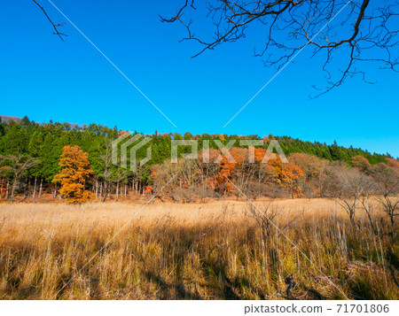深秋的大沼義群((木縣奧Ok原市大沼園) 深秋的大沼義群((木縣奧Ok原市大沼園) 71701806