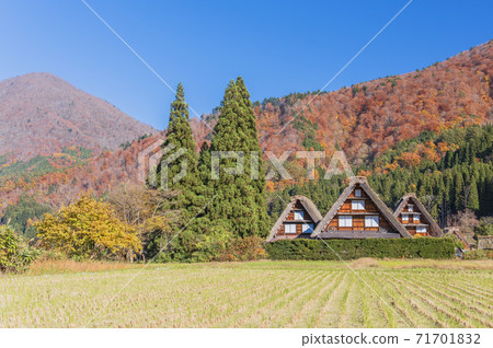 [世界遺產]岐阜縣白川鄉的合掌鶴 71701832