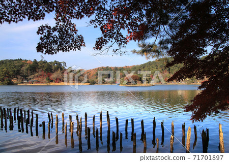 South Lake Park in autumn (Shirakawa city · Fukushima prefecture) 71701897