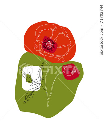 Poppy Flower Line Art Minimalist Contour Stock Illustration