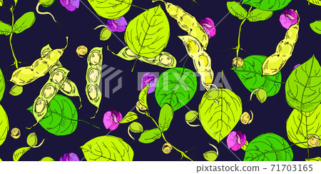 Seamless pattern with legume crops hand drawn in line art style isolated on dark background. Vector illustration Ideal for the design of fabrics, packaging materials, organic farm products. Seamless pattern with legume crops hand drawn in line art style isolated on dark background. Vector illustration Ideal for the design of fabrics, packaging materials, organic farm products. 71703165