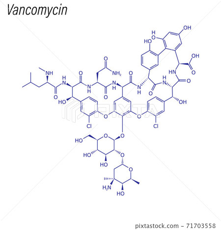 Vector Skeletal formula of Vancomycin. Drug chemical molecule. 71703558
