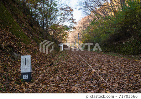 被遺棄的線在深秋鋪設步行 被遺棄的線在深秋鋪設步行 71703566