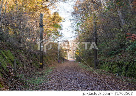 Abandoned railway line walk in late autumn Abandoned railway line walk in late autumn 71703567
