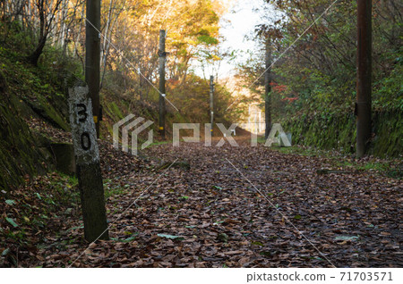 Abandoned railway line walk in late autumn 71703571