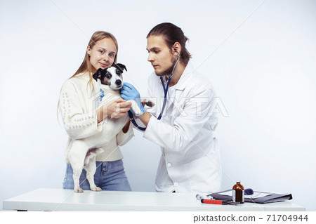 young veterinarian doctor in blue gloves examine little cute dog jack russell isolated on white background with owner blond girl holding it, animal healthcare 71704944