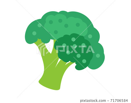 Colorful broccoli for magazine, farmers market, vegetarian salad recipe design, web.  Vegetable on an isolated background. Icon Vector flat illustration 71706584