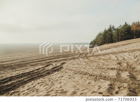 Bledow desert (pustynia bledowska) biggest sand desert in Silesia region in Poland 71706933