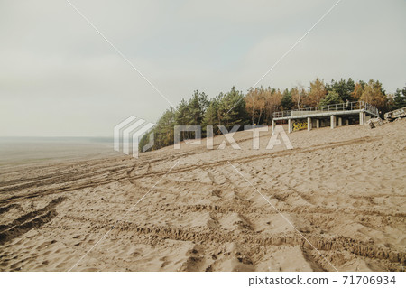 Bledow desert (pustynia bledowska) biggest sand desert in Silesia region in Poland 71706934
