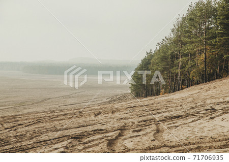 Bledow desert (pustynia bledowska) biggest sand desert in Silesia region in Poland 71706935