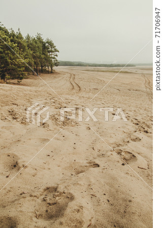 Bledow desert (pustynia bledowska) biggest sand desert in Silesia region in Poland 71706947