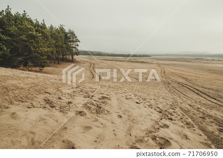 Bledow desert (pustynia bledowska) biggest sand desert in Silesia region in Poland 71706950