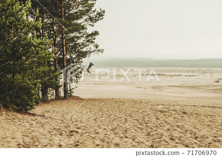 Bledow desert (pustynia bledowska) biggest sand desert in Silesia region in Poland 71706970