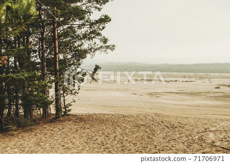 Bledow desert (pustynia bledowska) biggest sand desert in Silesia region in Poland 71706971