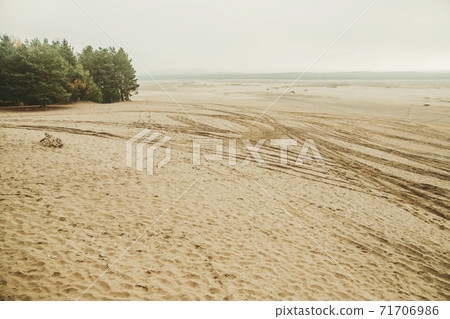 Bledow desert (pustynia bledowska) biggest sand desert in Silesia region in Poland 71706986