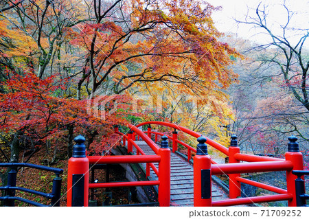 伊香保溫泉川橋秋葉 71709252
