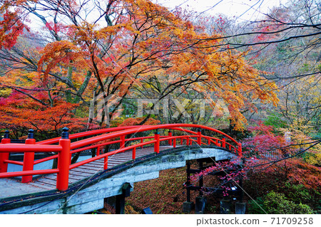 伊香保溫泉川橋秋葉 伊香保溫泉川橋秋葉 71709258