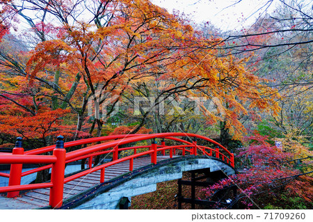 伊香保溫泉川橋秋葉 伊香保溫泉川橋秋葉 71709260