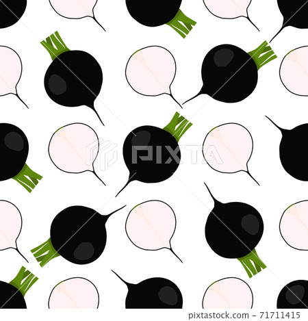 Illustration on theme of bright pattern black radish 71711415