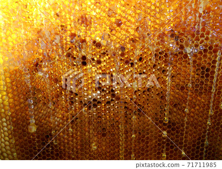 Background hexagon texture, wax honeycomb from a bee hive 71711985