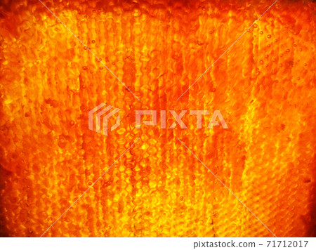 Background hexagon texture, wax honeycomb from a bee hive 71712017