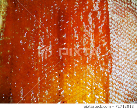 Background hexagon texture, wax honeycomb from a bee hive 71712018