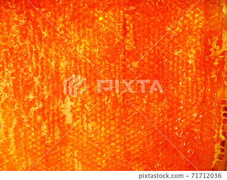 Background hexagon texture, wax honeycomb from a bee hive 71712036