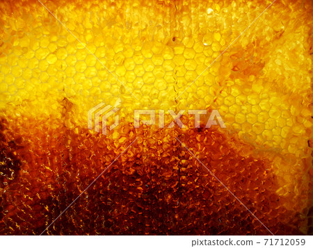 Background hexagon texture, wax honeycomb from a bee hive 71712059