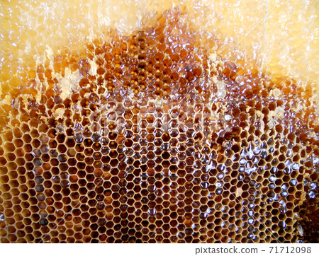 Background hexagon texture, wax honeycomb from a bee hive Background hexagon texture, wax honeycomb from a bee hive 71712098