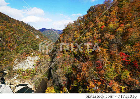 11月6日，長野原町秋葉和Azuma山谷的Azuma峽谷（天文台，Kohorai） 71713010